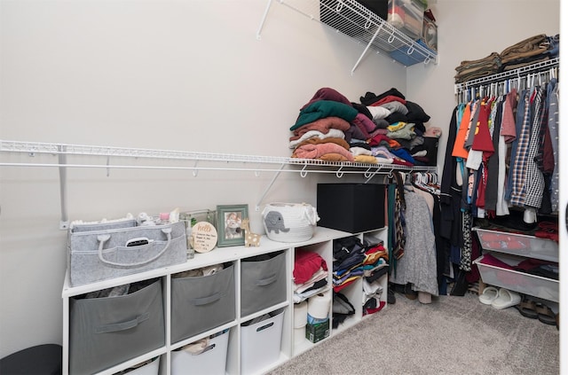 spacious closet featuring carpet flooring