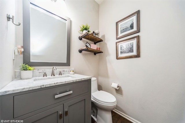 bathroom featuring vanity, toilet, and wood-type flooring