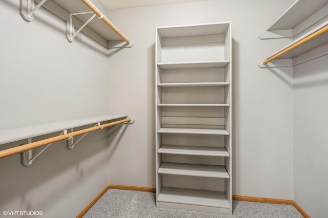 walk in closet with carpet floors