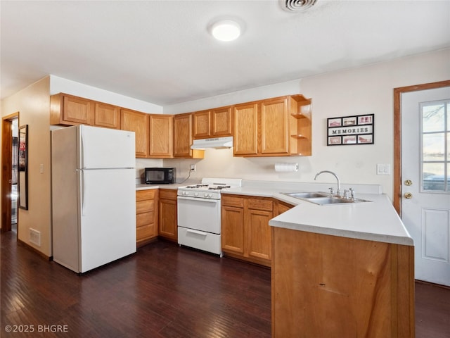 kitchen featuring dark hardwood / wood-style flooring, sink, white appliances, and kitchen peninsula