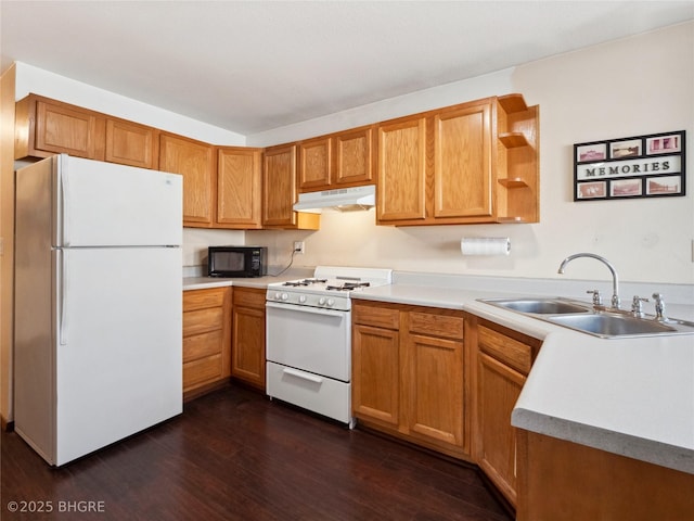 kitchen featuring dark hardwood / wood-style flooring, sink, and white appliances