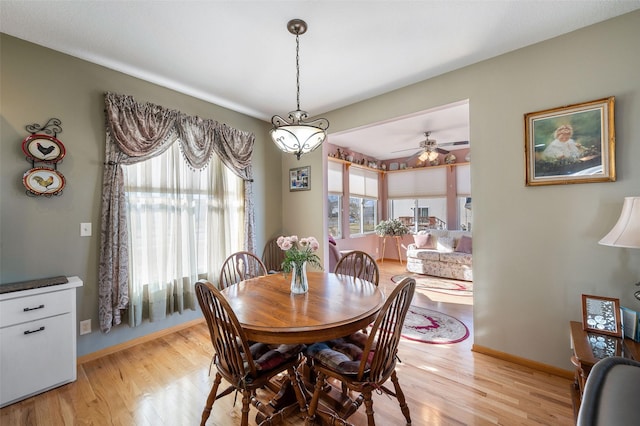 dining area with plenty of natural light, ceiling fan, and light hardwood / wood-style flooring