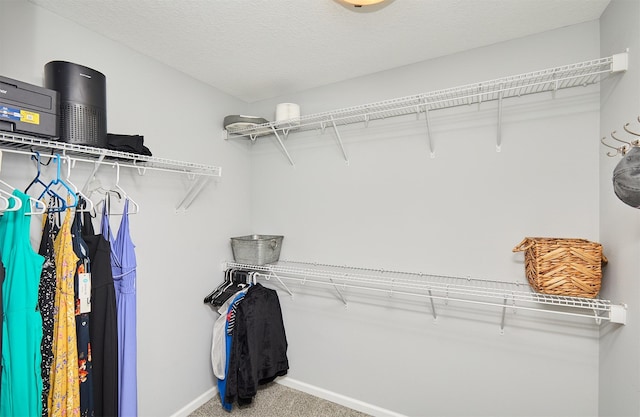 walk in closet featuring carpet