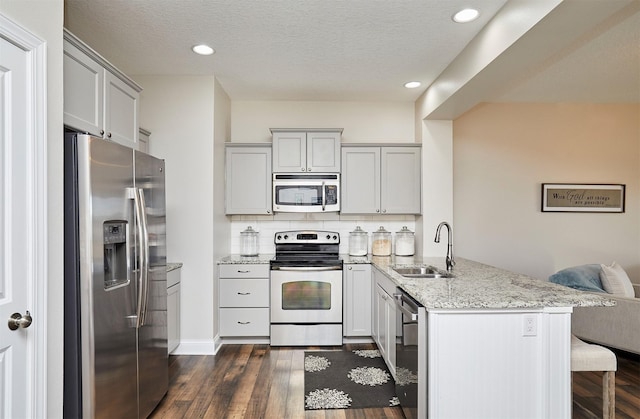 kitchen featuring a sink, stainless steel appliances, a peninsula, decorative backsplash, and dark wood-style flooring