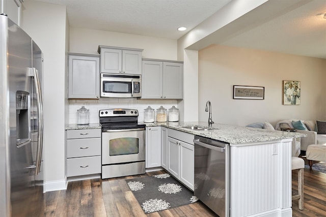 kitchen featuring a sink, open floor plan, dark wood-style floors, stainless steel appliances, and a peninsula