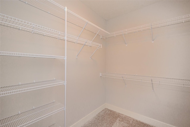 16217 Walnut Meadows Ct, Urbandale, IA 50323 - walk in closet featuring carpet flooring