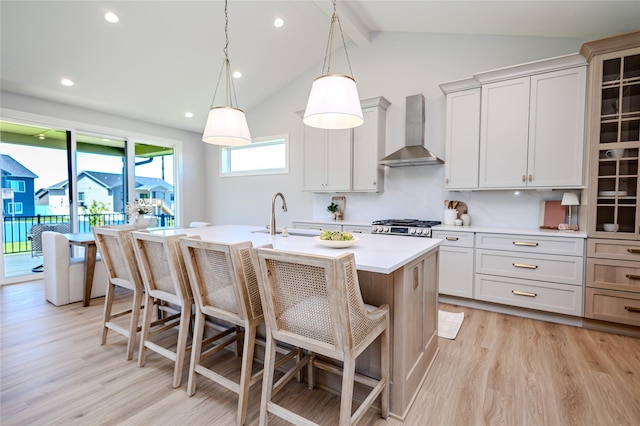 16217 Walnut Meadows Ct, Urbandale, IA 50323 - kitchen with wall chimney exhaust hood, a sink, light wood-style floors, light countertops, and stove