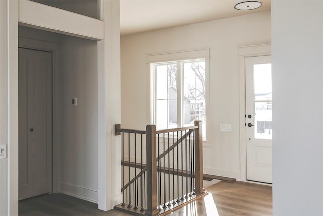 entryway with dark hardwood / wood-style floors