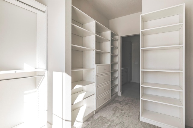 walk in closet featuring light colored carpet