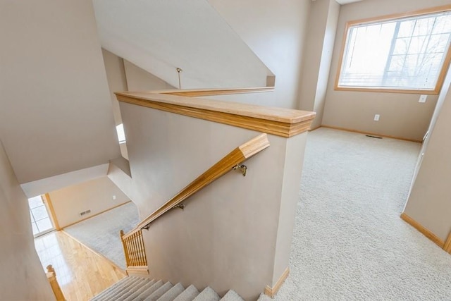 stairs featuring carpet floors