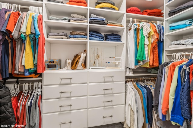 walk in closet featuring carpet floors