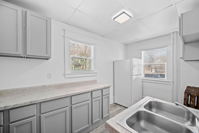 kitchen with sink, light hardwood / wood-style flooring, gray cabinets, and white refrigerator