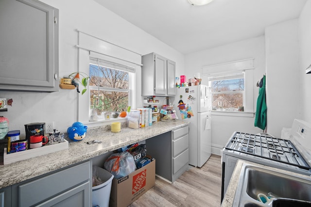 kitchen with white appliances, a healthy amount of sunlight, light hardwood / wood-style floors, and gray cabinetry