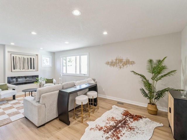 living room featuring light hardwood / wood-style floors