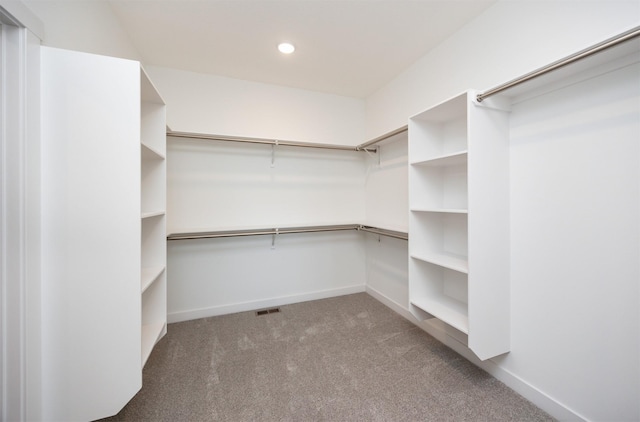 walk in closet with carpet flooring