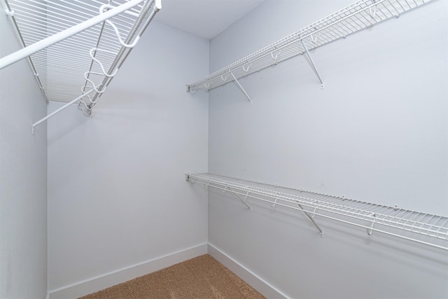 spacious closet with carpet flooring