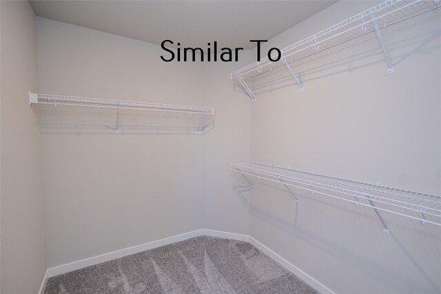 walk in closet featuring carpet flooring