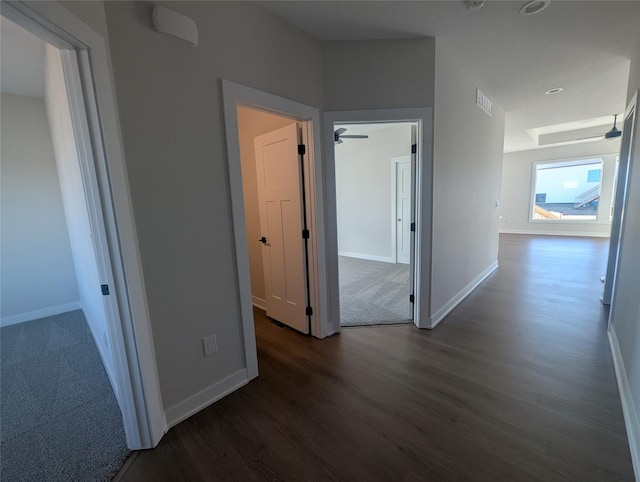 hall with dark hardwood / wood-style flooring