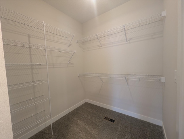 spacious closet with carpet floors