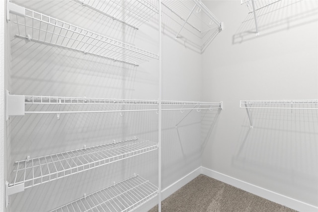 1632 20th Ave SE, Altoona, IA 50009 - spacious closet featuring carpet flooring