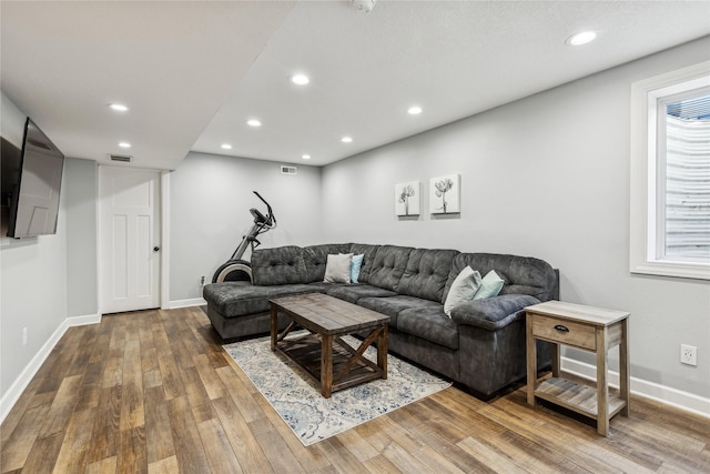 living room featuring wood-type flooring