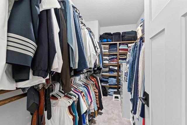 spacious closet featuring carpet flooring