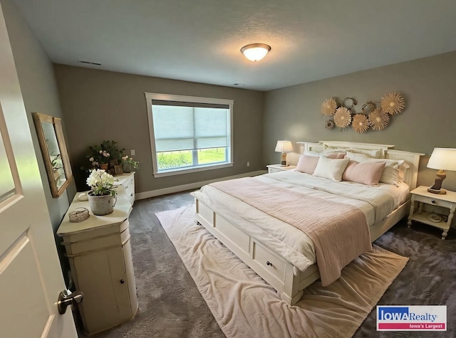 1837 15th Ave SE, Altoona, IA 50009 - bedroom with carpet floors and baseboards