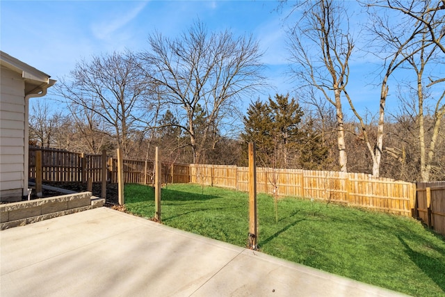 view of yard with a patio area