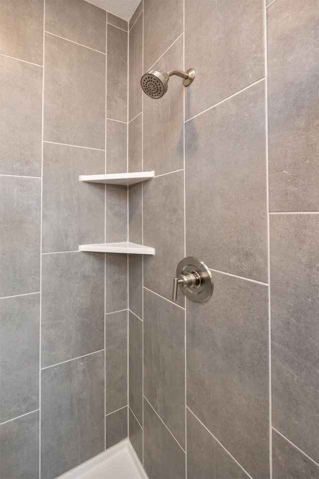 interior details with tiled shower