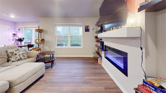 living room with hardwood / wood-style floors