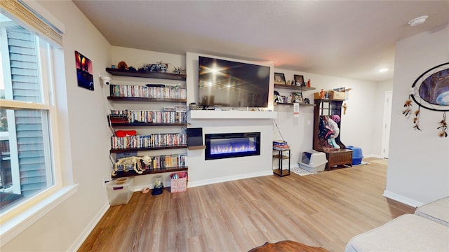 living room with wood-type flooring