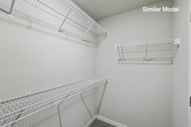 spacious closet with carpet floors