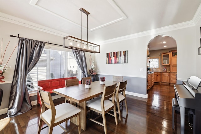 dining space featuring ornamental molding, a healthy amount of sunlight, and dark hardwood / wood-style flooring