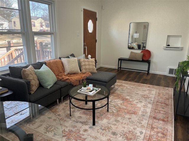 living room featuring wood-type flooring