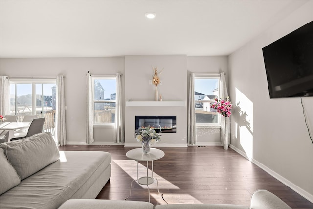 living room with dark wood-type flooring