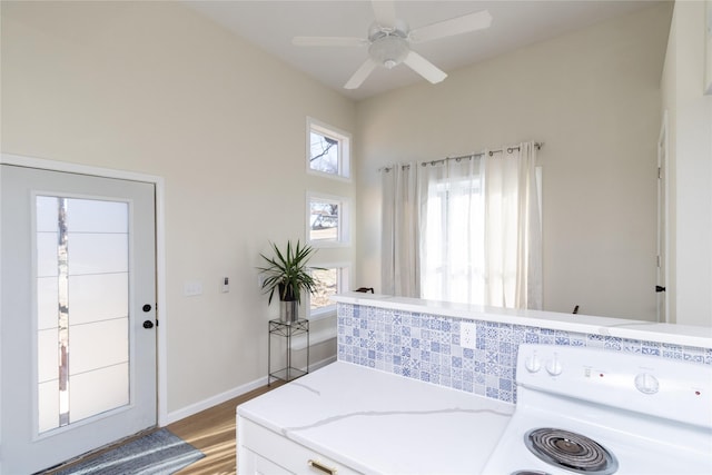 clothes washing area featuring wood-type flooring and ceiling fan