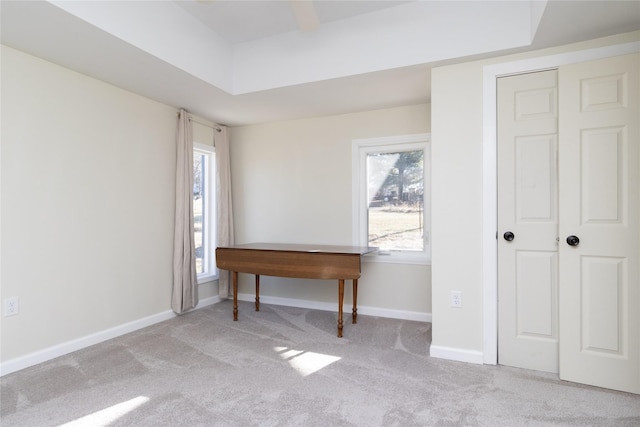 interior space featuring a healthy amount of sunlight and light carpet