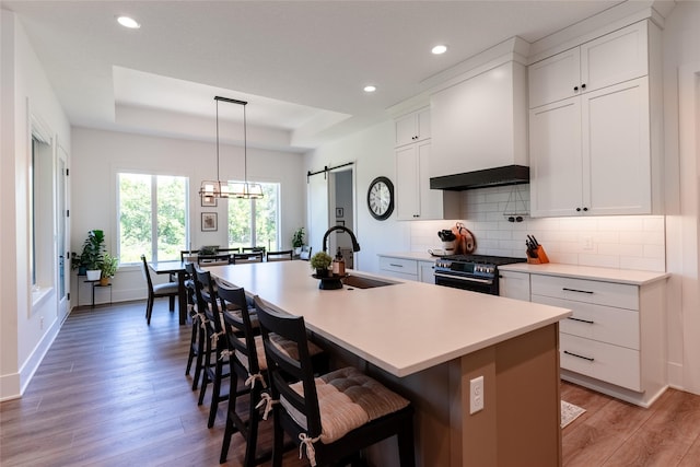 kitchen with a kitchen island with sink, sink, a barn door, and a raised ceiling