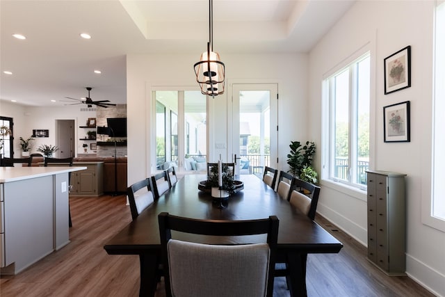 dining space with light hardwood / wood-style floors and a tray ceiling