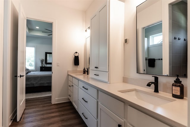 bathroom with vanity and hardwood / wood-style floors