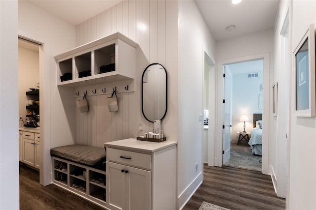 mudroom featuring dark hardwood / wood-style floors