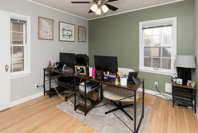 office space with crown molding, ceiling fan, and light hardwood / wood-style flooring