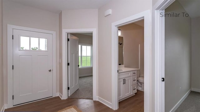 foyer entrance with dark hardwood / wood-style flooring