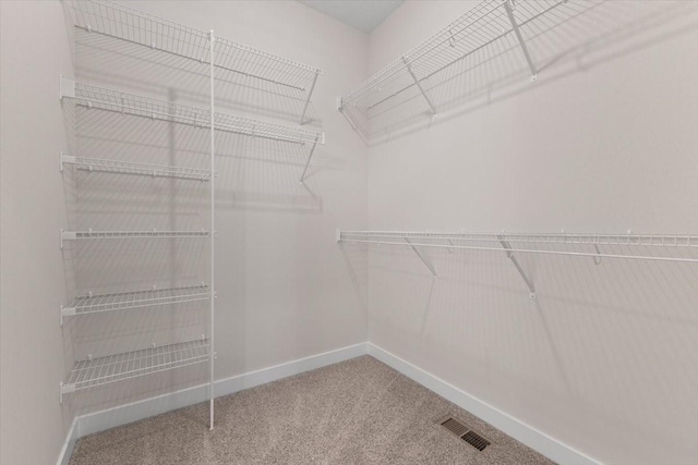 575 NW Prairie Rose Ln, Waukee, IA 50263 - spacious closet featuring carpet flooring