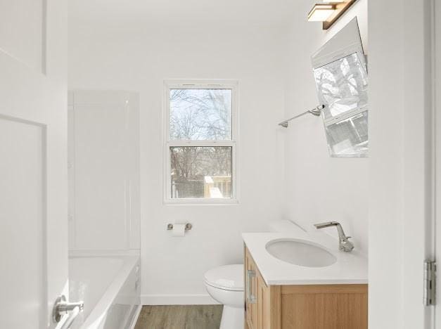 bathroom featuring vanity, wood-type flooring, and toilet