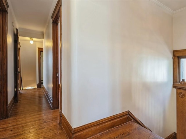 hallway with dark wood-type flooring and ornamental molding