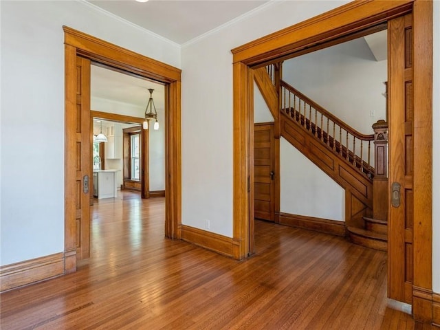 hallway with hardwood / wood-style flooring and ornamental molding