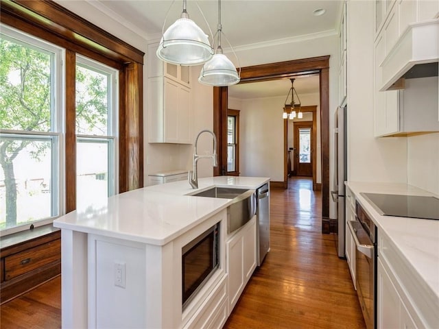 kitchen with dark hardwood / wood-style flooring, custom exhaust hood, hanging light fixtures, stainless steel appliances, and a center island with sink