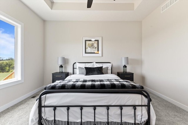 612 W Walnut Pl, Norwalk, IA 50211 - bedroom with carpet floors