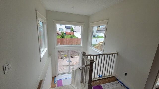 3231 NW 27th Cir, Ankeny, IA 50023 - photo 13